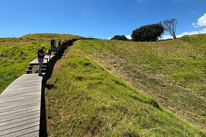Private Auckland Best Top 5 Spots Half day Tour - Domain Wintergardens: Glasshouses That Keep the Day Moving