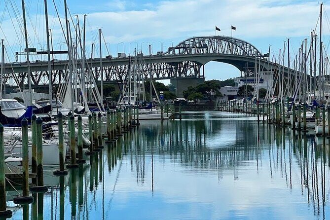 Private Auckland Best Top 5 Spots Half day Tour - Price and Logistics: Is $155.14 Per Person Worth It?