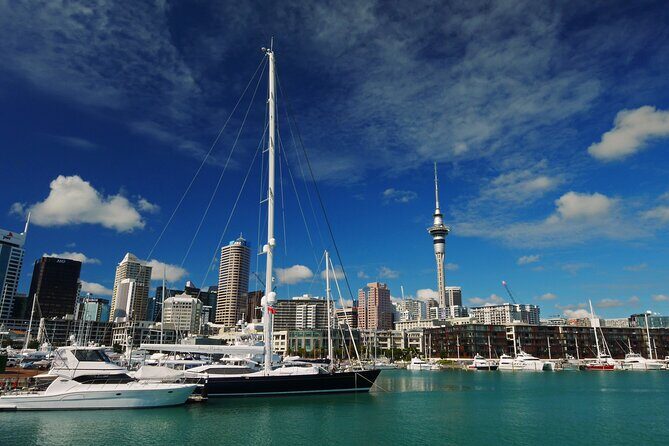 Private Auckland City Highlights Tour - Key things to know before you go