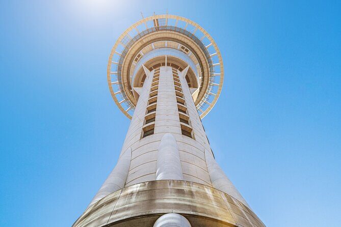 Private Auckland City Highlights Tour - Auckland Domain and the War Memorial Museum: a park with built-in context