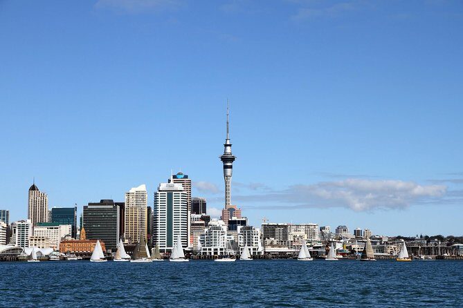 Private Auckland City Tour For Small Group in a luxury vehicle. - Key things that make this tour work