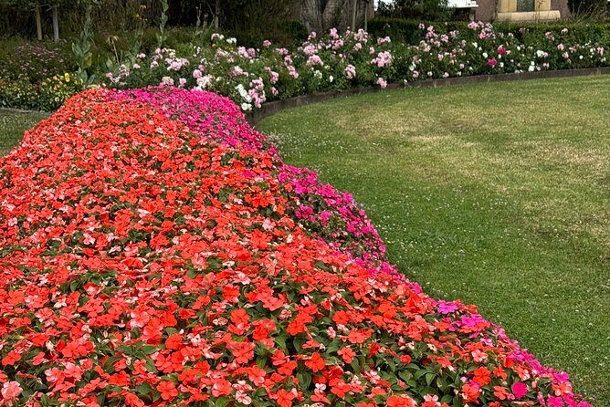 Private Auckland City Tour Including Auckland Tour House Visit - Food, shopping, and how customization actually helps