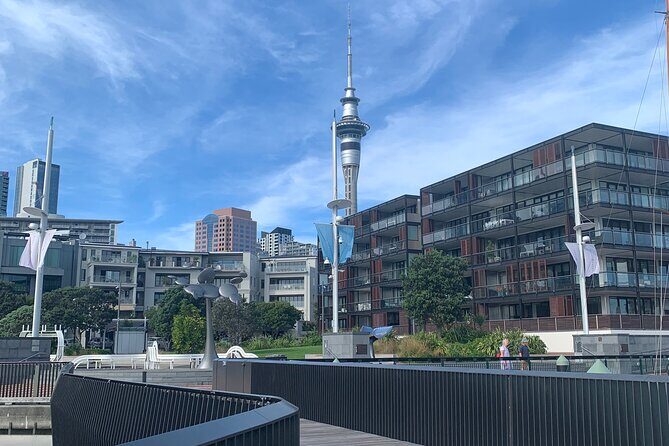 Private Auckland City Tour Including Auckland Tour House Visit - Cliff Road to Achilles Point: harbor angles toward Rangitoto and Browns Island