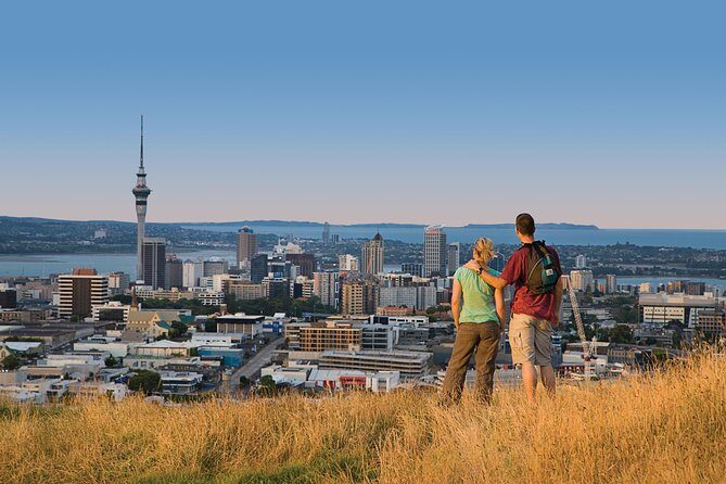 Private Auckland Half Day Tour - Price and logistics: when $369.24 per person makes sense