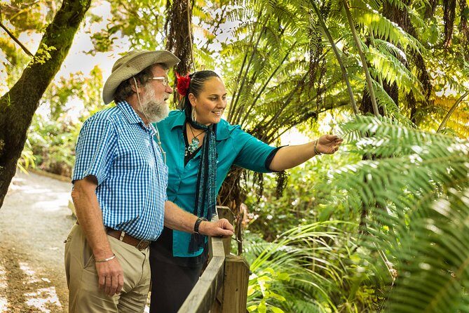 Private Auckland Half Day Tour - Who this tour fits best in your Auckland plans