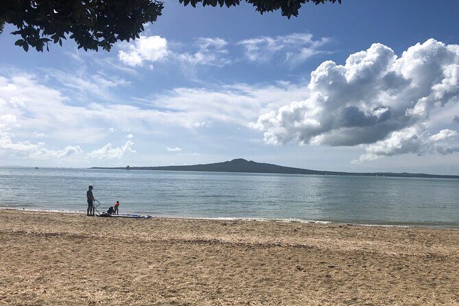 Private Auckland Half Day Tour - Should you book this private Auckland half-day tour?