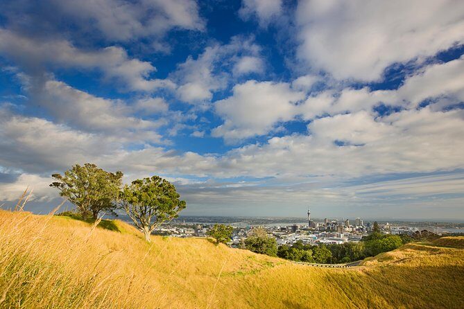 Private Auckland Half Day Tour - Tamaki Drive, Mission Bay, and the Harbour Bridge all in one sweep