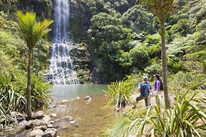 Private Auckland Luxury Tour - Titirangi and the Waitākere gateway: ocean views with context