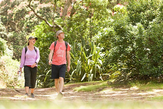 Private Auckland Luxury Tour - Karekare Falls: the short walk that feels worth it