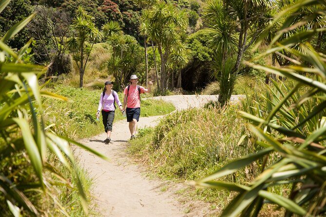 Private Auckland Luxury Tour - The guide factor: history and Māori culture that connect the dots
