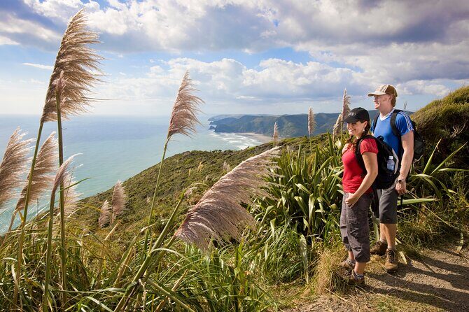 Private Auckland Luxury Tour - Timing and pace: getting the most out of 1 to 8 hours