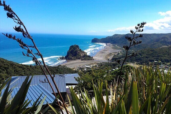 Private Auckland Sightseeing - Full Day/Half Day Hidden Gems Tour - Key things I’d plan around