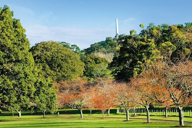 Private Auckland Sightseeing - Full Day/Half Day Hidden Gems Tour - Half-day vs full-day: how to choose the right amount of Auckland