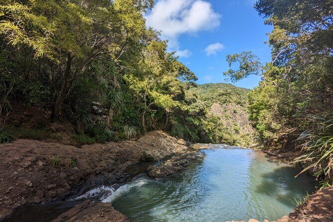 Private Auckland Sightseeing - Full Day/Half Day Hidden Gems Tour - Kumeu wine country: tasting stops that fit into a sightseeing day