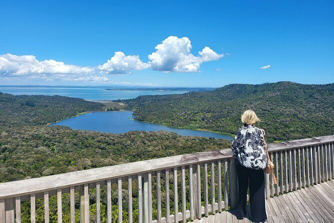 Private Auckland West Coast Tour Piha Beach and Karekare Falls - Why this Auckland West Coast route works in 4–5 hours