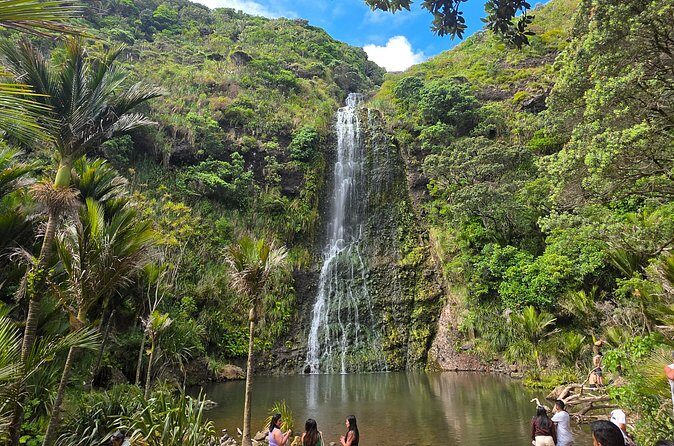 Private Auckland West Coast Tour Piha Beach and Karekare Falls - Guides, local context, and how the day stays fun