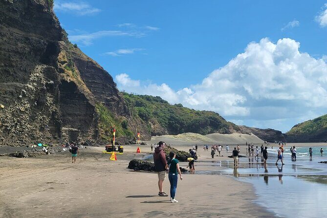 Private Auckland West Coast Tour Piha Beach and Karekare Falls - Getting around: comfort, timing, and what to pack