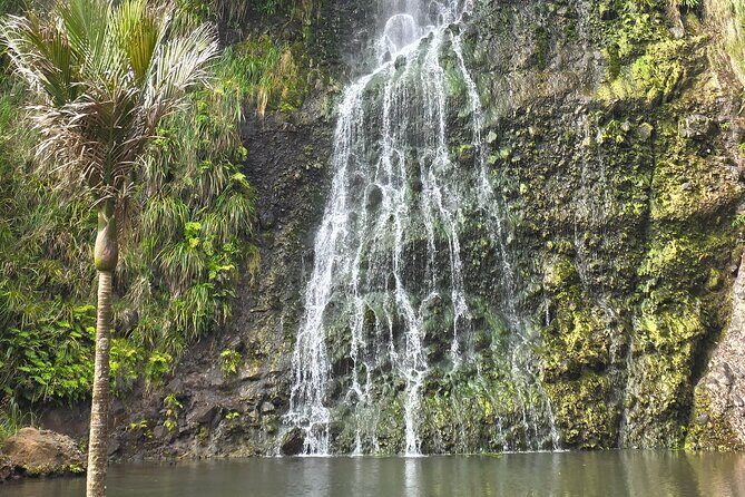 Private Auckland West Coast Tour Piha Beach and Karekare Falls - Arataki Visitor Centre: your easy start before the views