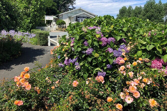 Private Auckland Wine & Dine Matakana Country & Cuisine - Eco-cultural initiatives: local support built into the itinerary