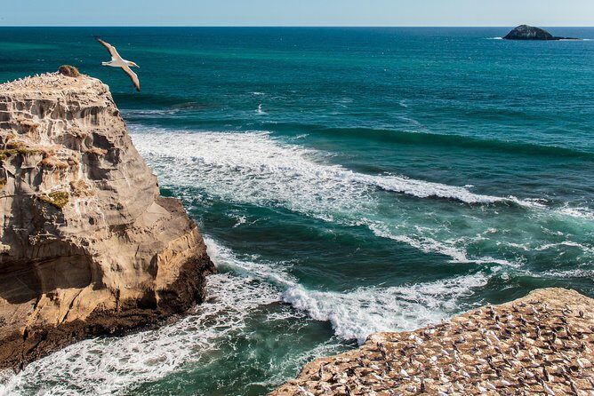 Private Auckland's West Coast - Piha/ Muriwai - Wild West Tour - Arataki Visitor Centre: your fast pass into Waitākere Ranges context