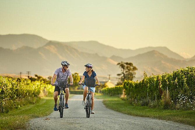 Private Biking Wine Tour (full day) in the Marlborough Region - Riding rural Marlborough: why this tour feels different