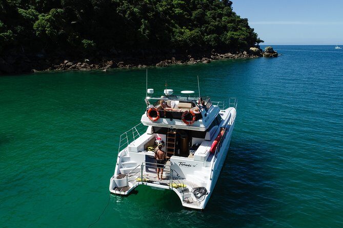 Private boat charter in Abel Tasman National Park - Tonga Island Marine Reserve: fur seals up close, done respectfully