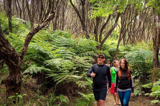 Private boat charter in Abel Tasman National Park - Hiking the Abel Tasman Coast Track: the Great Walk feel, without committing to the whole thing