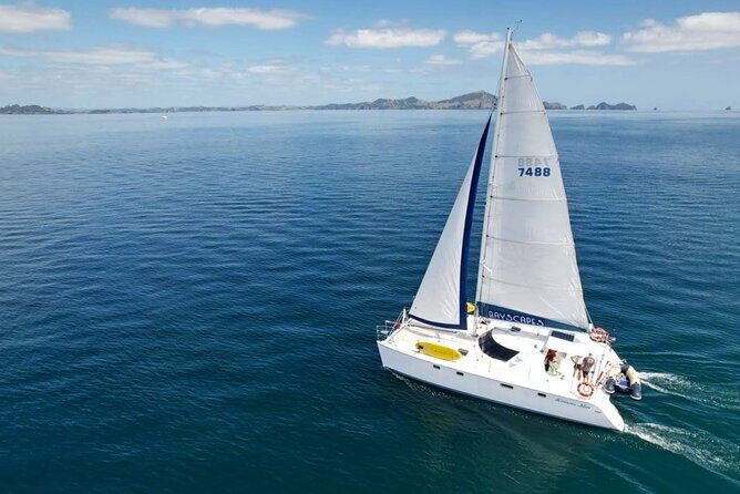 Private Catamaran Full Day Sailing Charter | Bay Of Islands - Key highlights to know before you go
