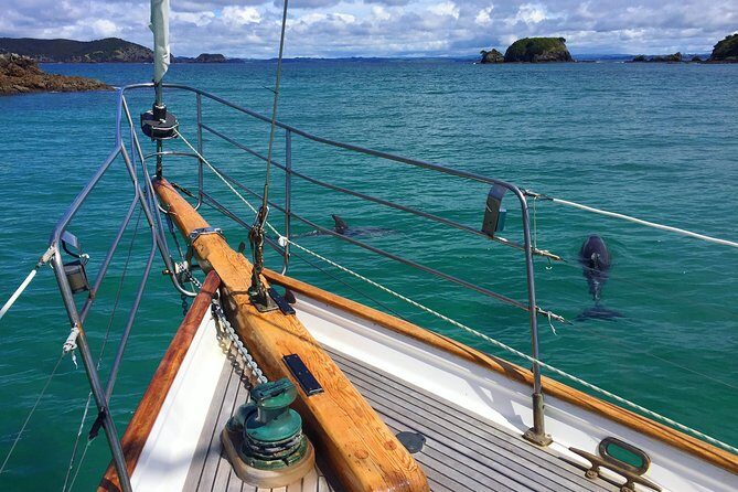 Private Charter Bay of Islands - Key things to know before you go