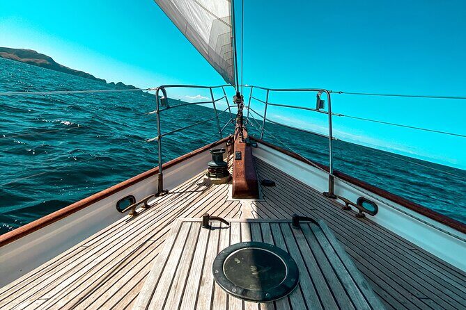 Private Charter Bay of Islands - Food and drink: picnic lunch and a bottle of wine included