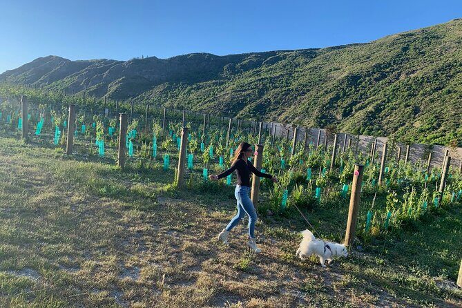 Private Dog Friendly Wine Tour with your Local Guide - Key highlights for a dog-friendly Waiheke wine day