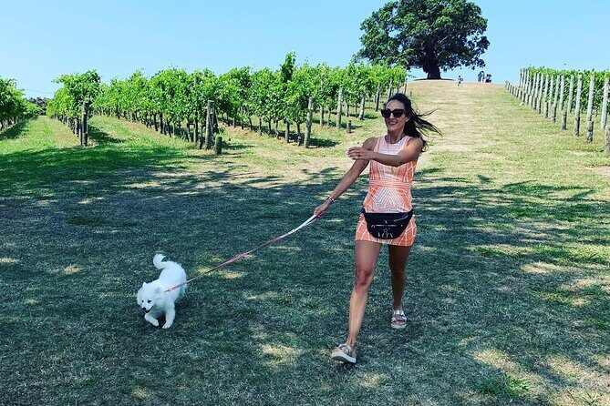 Private Dog Friendly Wine Tour with your Local Guide - Why this Waiheke wine tour feels different (in a good way)