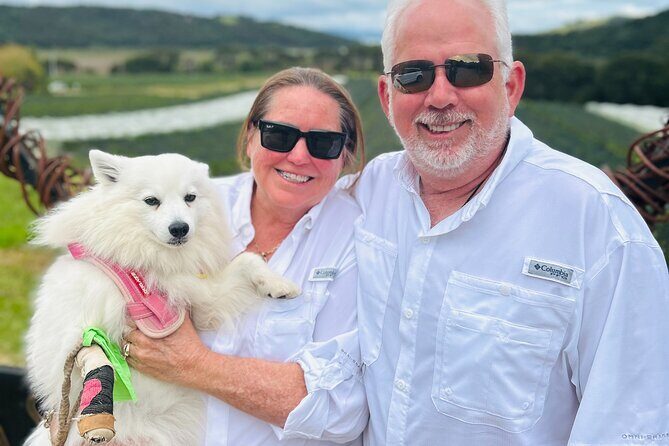 Private Dog Friendly Wine Tour with your Local Guide - Wine tastings and lunch: how the rhythm keeps it enjoyable