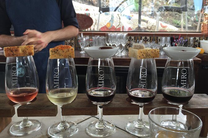 Private Dog Friendly Wine Tour with your Local Guide - Dog-friendly travel on Waiheke: what you should expect
