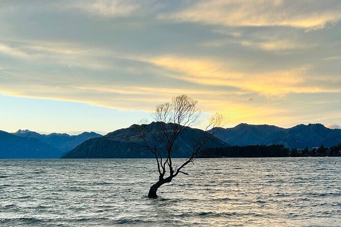 Private Driver Hire – Full-Day Touring-Auckland/Rotorua/Hamilton - Key highlights