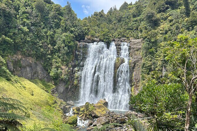 Private Driver Hire – Full-Day Touring-Auckland/Rotorua/Hamilton - Why a private driver beats a rental in the Auckland–Rotorua–Hamilton loop