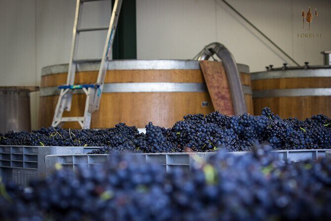 Private Driving Wine Tour (full day) in the Marlborough Region - 9:45 start and the 6.5-hour rhythm that keeps you dinner-ready