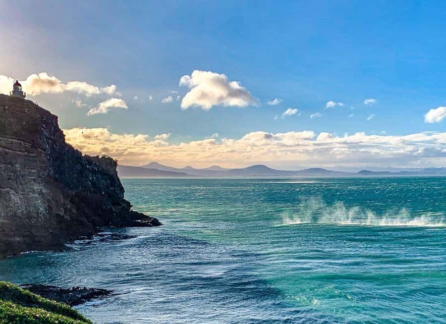 Private Dunedin City Highlights and Otago Peninsula Day Tour - Who This Tour Fits Best (and Who Should Reconsider)
