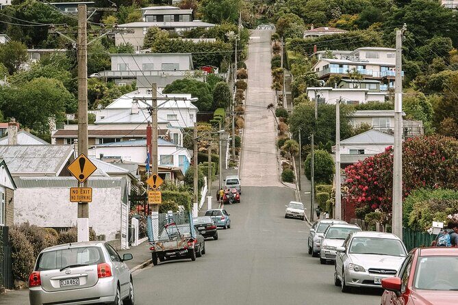 Private Dunedin & Otago Peninsula Day Tour Up to 4 - Price and Value: When $608.16 Per Group Makes Sense