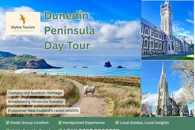 Private Dunedin & Otago Peninsula Day Tour Up to 4 - Signal Hill, Baldwin Street, and the University of Otago Quick Tour