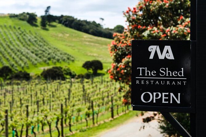 Private Essence of Waiheke Wine Tour - Stop 3: Mudbrick Vineyard Lunch with Two Courses and a Glass (1.5 hours)