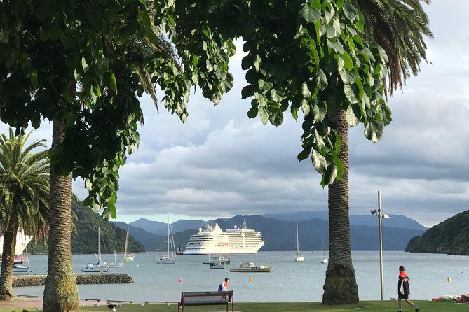 Private Excursion: Scenic and Seascape Delights from Picton - The Mussel Pot Restaurant: Green-Lip Mussels and Dietary-Friendly Choices