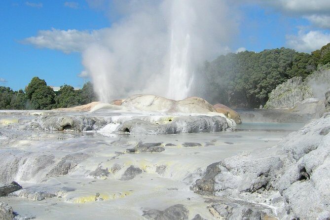 Private Full-Day Rotorua Tour from Auckland - Te Puia and the Māori Welcome: More Than a Performance