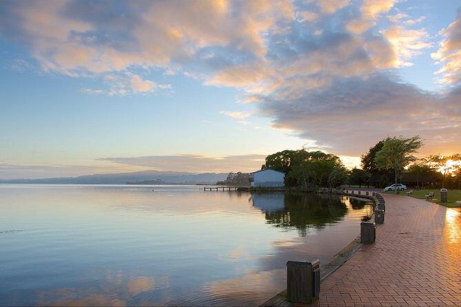 Private Full-Day Rotorua Tour from Auckland - Redwoods, Blue Lake, and Lake Rotorua Photos: The Pace Breaks