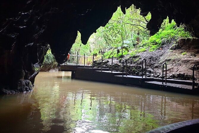 Private Hobbiton & Blue Springs Day Trip from Auckland - Who should book this private Hobbiton and Blue Springs day trip?