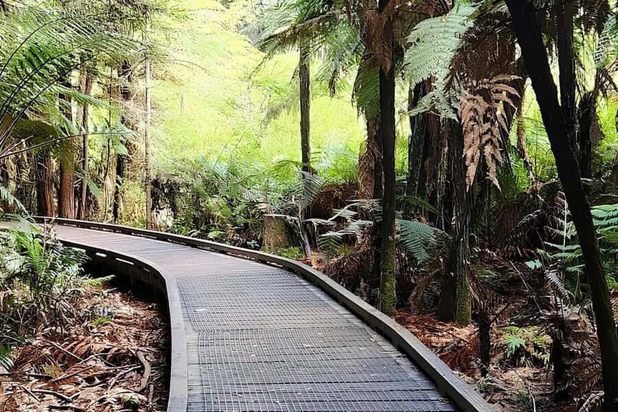 Private Hobbiton & BlueSprings & Redwood forest fromAuckland - Price and value at $567 per person: what you’re really buying