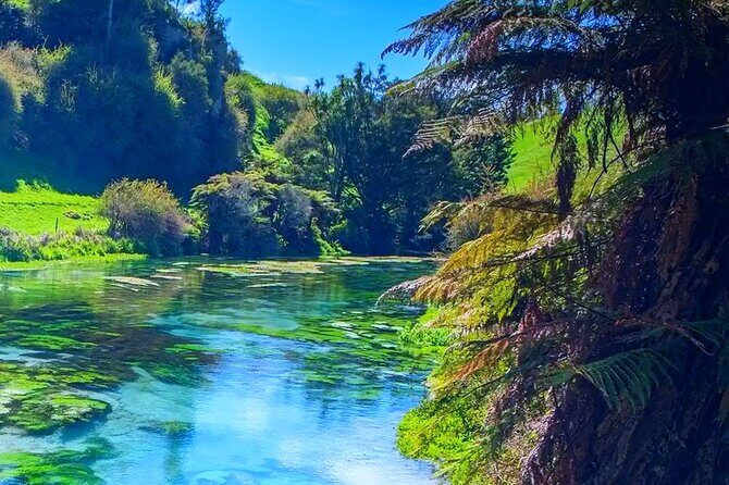 Private Hobbiton, Waitomo Caves, Blue Spring & Hamilton Transfer - Price and value: $299 per group only works if you plan tickets well
