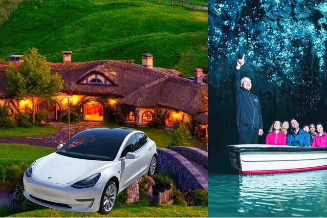 Private Hobbiton & Waitomo Caves Transfer from Auckland - Key highlights to know before you go