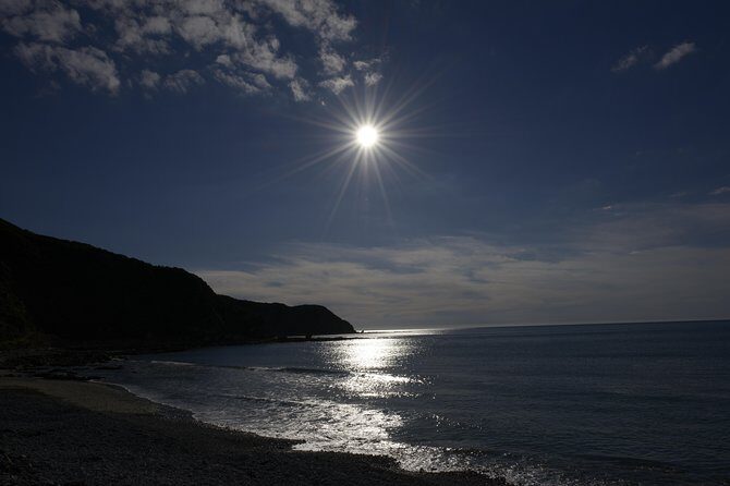 Private Kapiti Coast Full Day Tour - Southward Car Museum and Rangiatea Church in Ōtaki