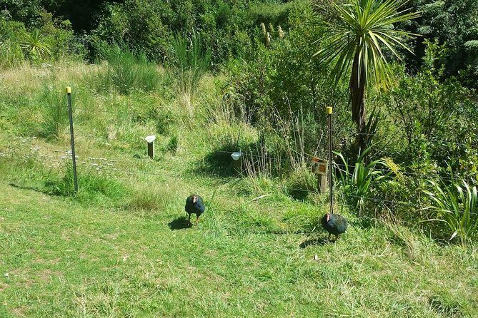 Private Kapiti Coast Full Day Tour - Price and value: what $223.41 per person really covers